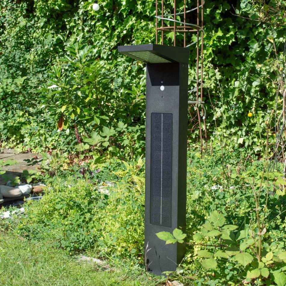 Arwind Pro solcellelampe med stort solcellepanel vist i have foran beplantning