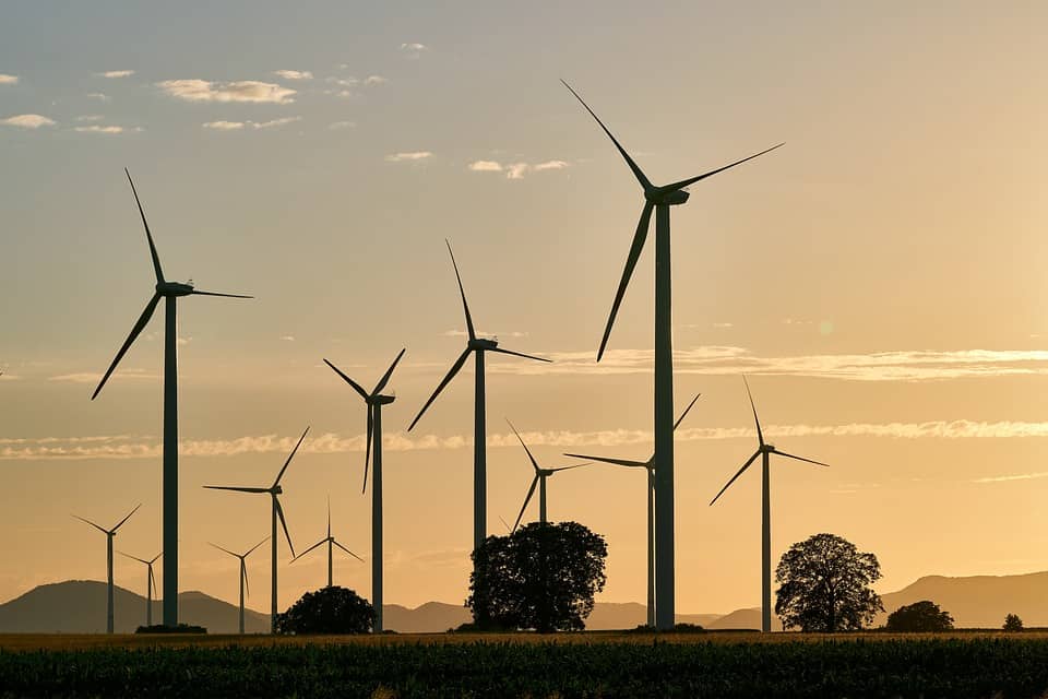 Et billede af vindmøller, som symboliserer billig og grøn energi