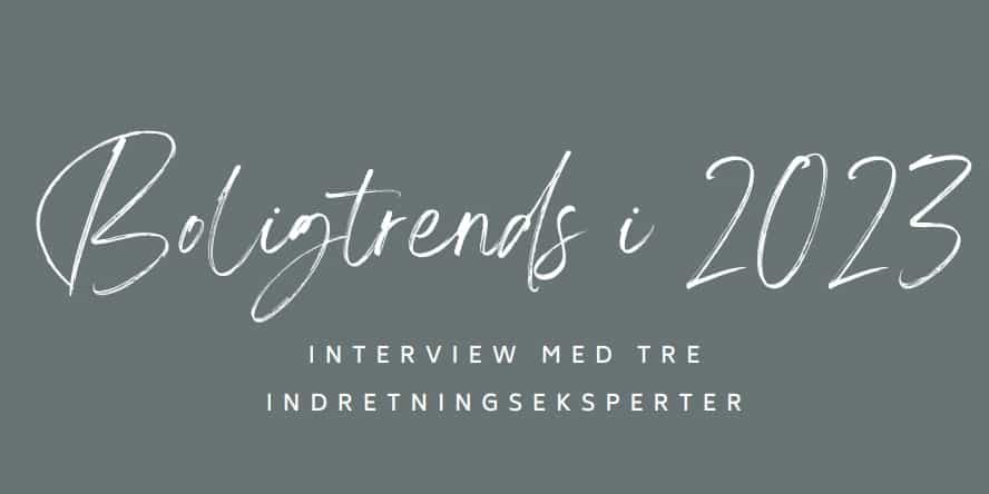 Et billede af interviewet om boligtrends i 2023